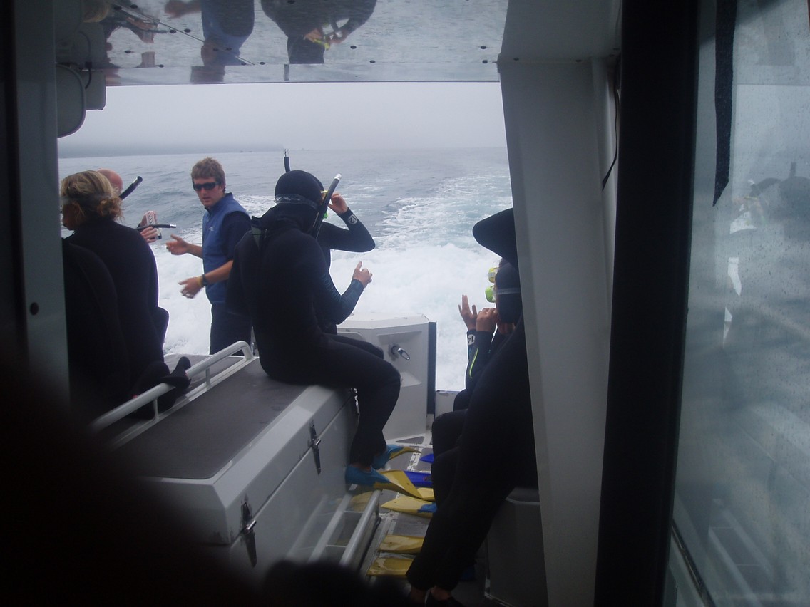 190   30 01   Kaikoura